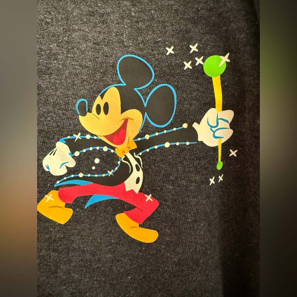 Disney 50th Anniversary Main Street Electrical Parade HoodieShorts set Ladies XL - Picture 4 of 11